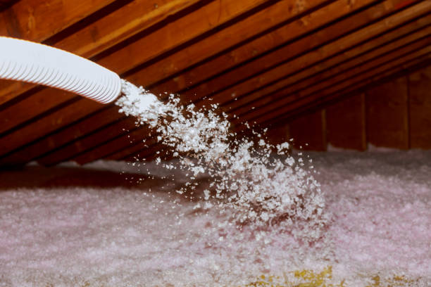 Best Garage Insulation  in Campton Hls, IL